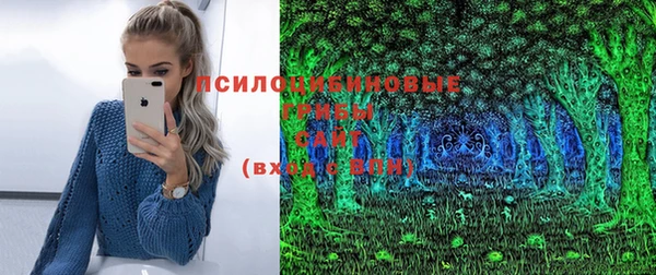 кокс Дмитров