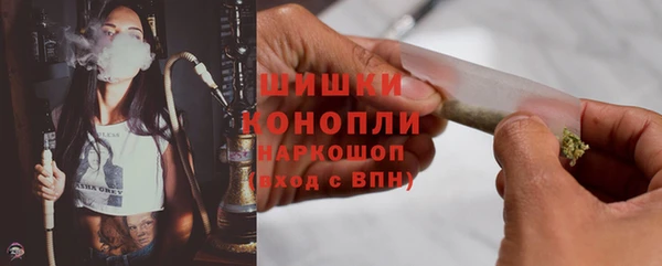стафф Дмитриев