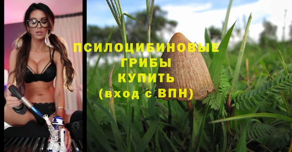 ешки Елизово