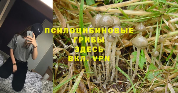 кокс Дмитров