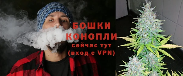 mix Ельня