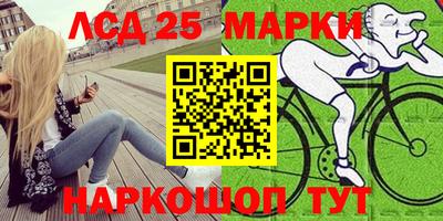 шишки Аргун