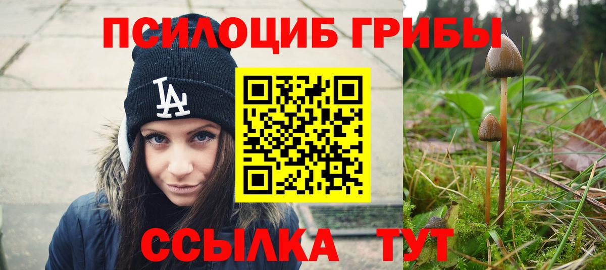 Лобня  Псилоцибиновые грибы Psilocybe  купить закладку  Вход с VPN 
